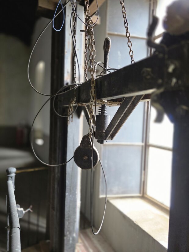 Bicchierini per degustazione di olio disposti su un tavolo