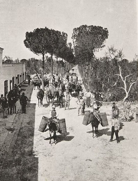 Interno del museo con antiche macine per le olive